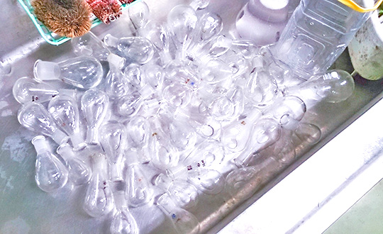 Multiple laboratory flasks placed in a sink after washing.
