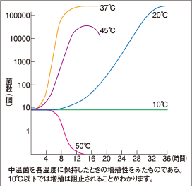 菌数（個）のグラフ