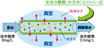気体分離膜（中空糸）はストロー状