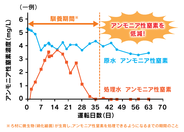 アンモニア性窒素濃度と運転日数のグラフ.png