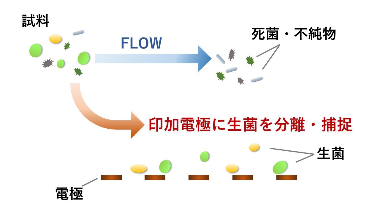 GA生菌分離システムの仕組み.jpg
